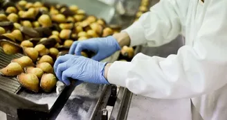 madeleines-bijou