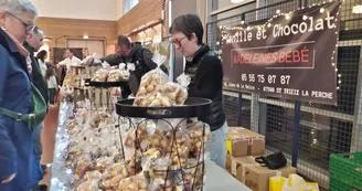 vanille et chocolat madeleine Bébé