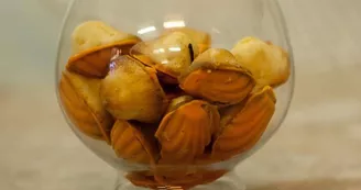 Madeleines  
