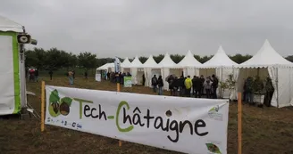 Tech-Châtaigne Tech-Châtaigne