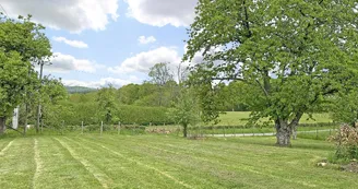Le gîte de Las Doumingeas à Ladignac le Long en Haute-Vienne (Nouvelle Aquitaine)_33
