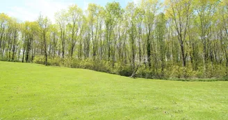 Gîte de Cirèges au Chalard en haute-Vienne (Nouvelle Aquitaine)_31