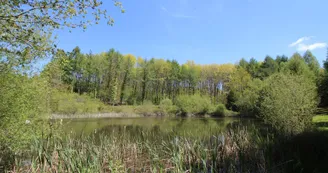 Gîte de Cirèges au Chalard en haute-Vienne (Nouvelle Aquitaine)_3