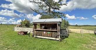 Gîte 'La réserve' à Saint Yrieix la Perche en Haute-Vienne (Nouvelle Aquitaine)_7