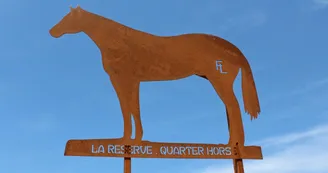 Gîte 'La réserve' à Saint Yrieix la Perche en Haute-Vienne (Nouvelle Aquitaine)_44