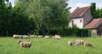 Gîte "la noisetière" à papesoleil sur la commune de Saint Yrieix la Perche en Haute-Vienne (limousin)_15
