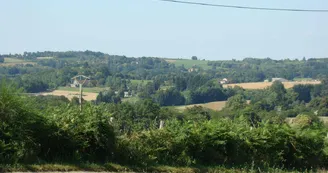 Gite "Papesoleil" à Saint Yrieix La Perche en Haute-Vienne (Limousin)_21