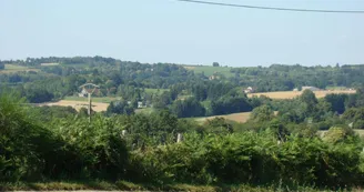 Gite "Papesoleil" à Saint Yrieix La Perche en Haute-Vienne (Limousin)_21