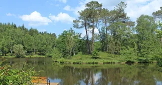 Le gîte du pêcheur à Saint Yrieix la Perche en Haute-Vienne (Nouvelle Aquitaine)_6