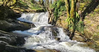 La cascade au bas du gîte_2 La cascade au bas du gîte_2