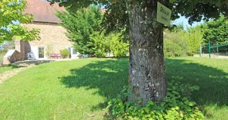 Gite "Bois Machau-Gite Au Pré" à Coussac Bonneval en Haute-Vienne (Limousin)_1