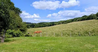 Gite du Fer à Cheval - commune de Saint Yrieix La Perche en Haute-Vienne - Nouvelle Aquitaine - vue arrière_16