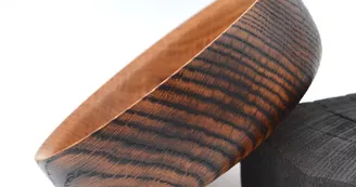L'écorce buissonnière 