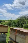 La Ferme aux abeilles
