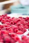 raspberries-gc8bf5ed02_1280