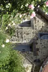 Le Potagîte sous Ronsard