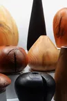 L'écorce buissonnière 